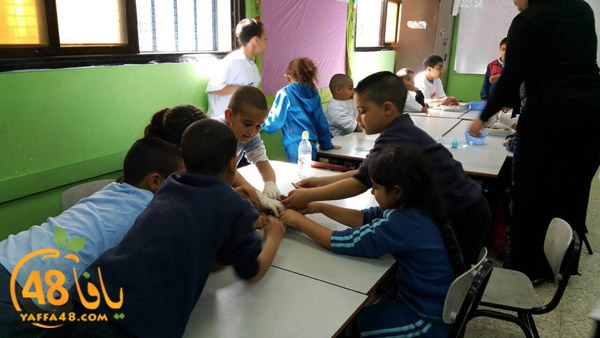 a3mal tayeba 7san3arafa (26).JPG